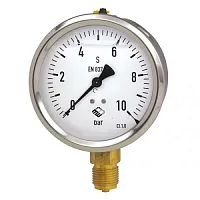 RSCh (G) 100-1 4 bar M20x1,5 Глицерин УТ000016159