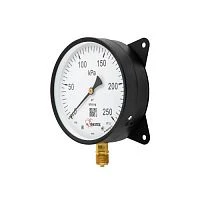 ТМВ-610РКТ.00(-0,1...2,4)MPa.M20х1,5.1,5 с задним фланцем УТ-00000189