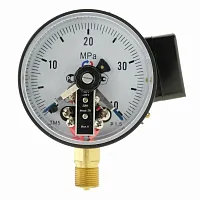 ТМ-510Р.06(0-0,6)МPa.М20х1,5.1,5 ЭКМ исп.VI УТ000019475