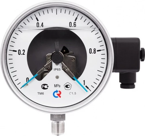 ТМ-621Р.05(0-1)MPa.М20х1,5.1,5 ЭКМ исп.V  СИЛИКОН УТ000014576