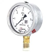 ДМ8008-ВУф 2,5 МПа кт.1,0 M20х1,5 Б-110 IP65 ГЛИЦЕРИН УТ-00001035